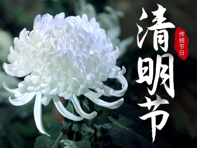 今日清明，睿寂行緬懷先烈！