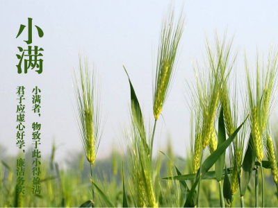 人生小滿，即是圓滿|睿寂行