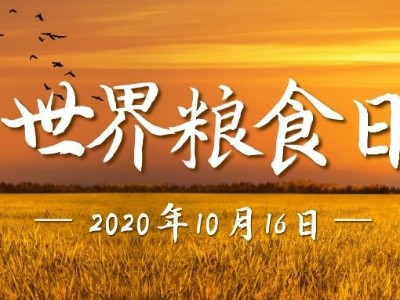 世界糧食日|光盤行動(dòng)，睿寂行空壓機(jī)在行動(dòng)......